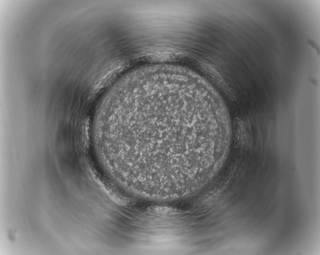 X0000101680590200807311521