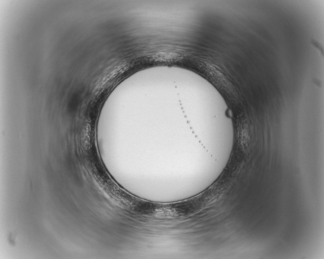 X0000101680591200807311521