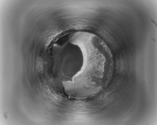 X0000101680592200807311521