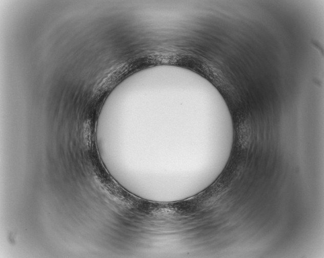 X0000101680594200807311521