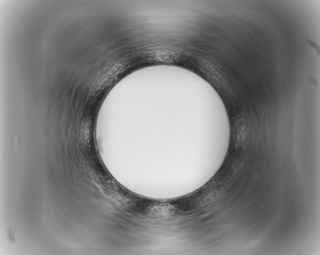 X0000101680595200807311521