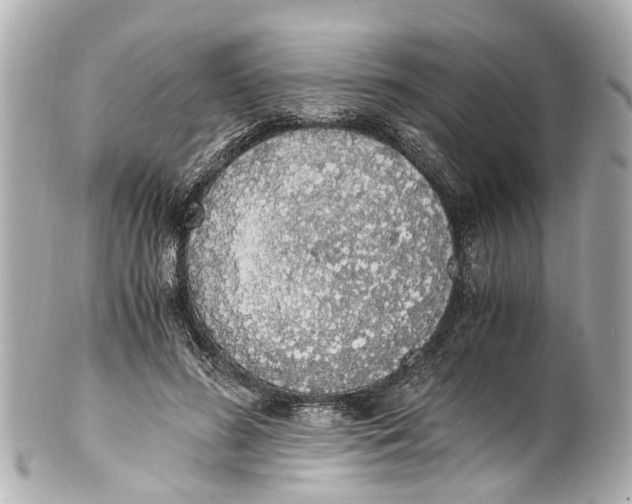 X0000101680596200807311521