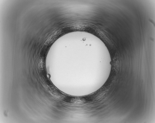 X0000101680597200807311521