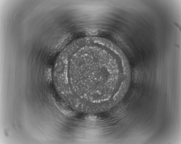 X0000101680598200807311521