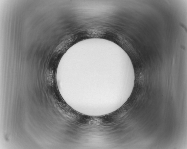 X0000101680599200807311521