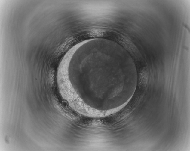 X0000101680600200807311521