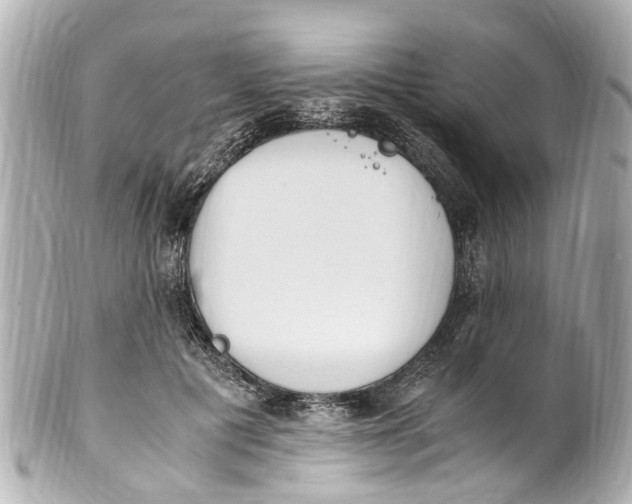 X0000101680601200807311521