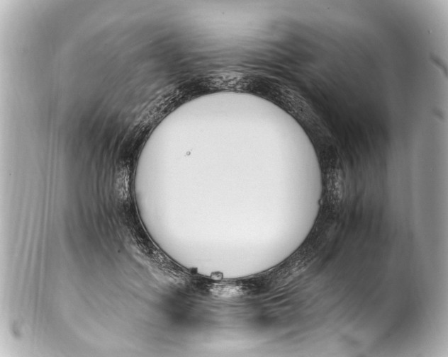 X0000101680602200807311521