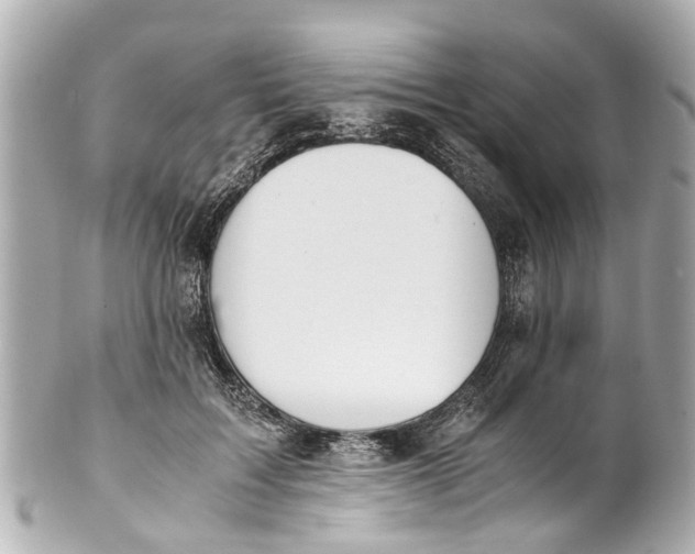 X0000101680603200807311521