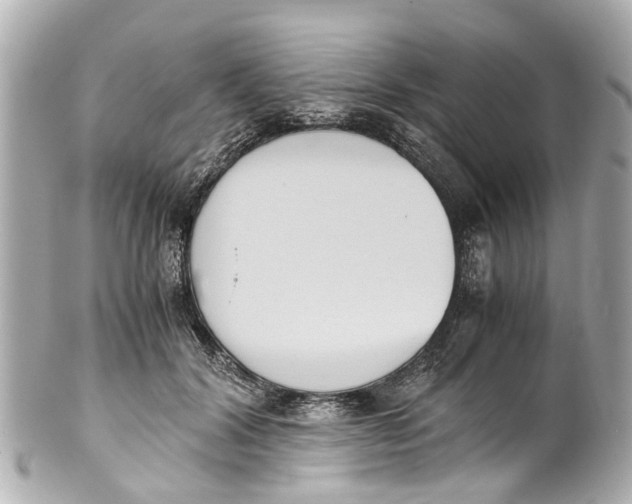 X0000101680604200807311521