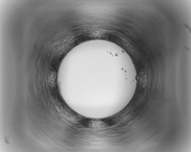 X0000101680605200807311521