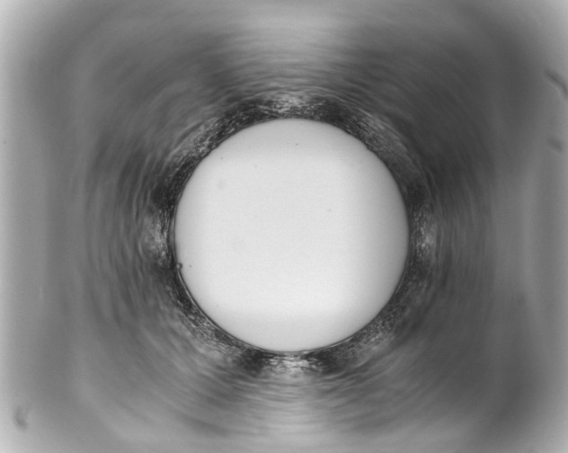 X0000101680607200807311521