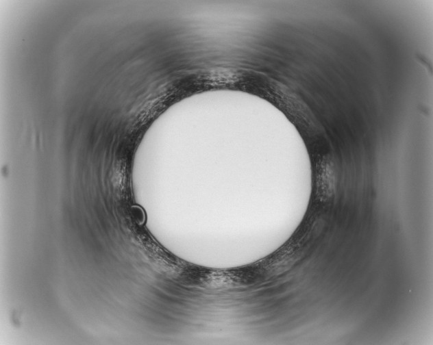 X0000101680608200807311521