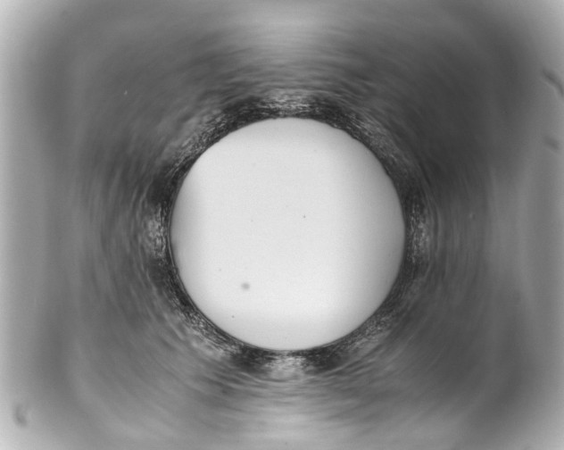 X0000101680609200807311521