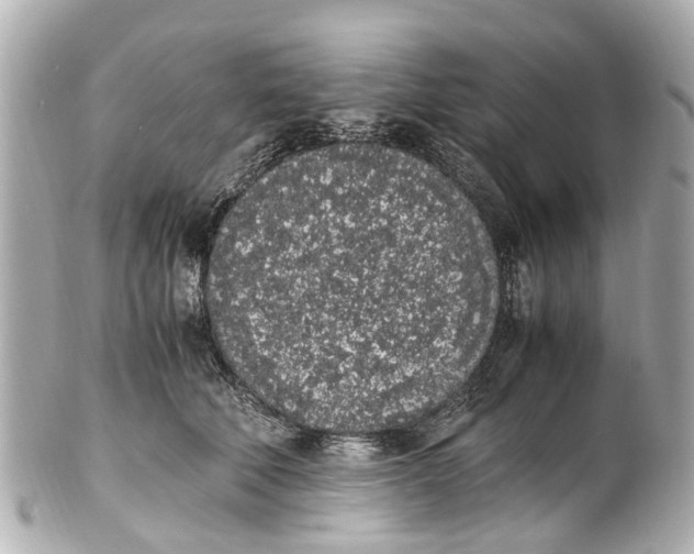 X0000101680610200807311521