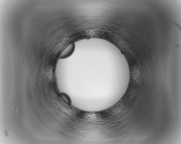 X0000101680611200807311521