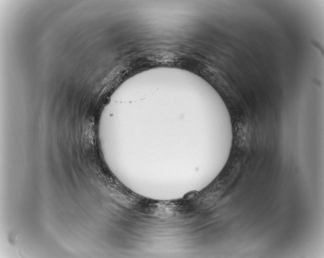 X0000101680612200807311521