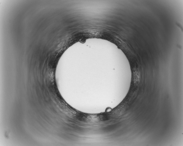 X0000101680613200807311521