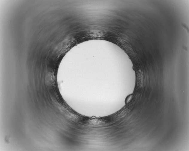 X0000101680614200807311521