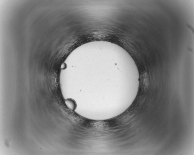 X0000101680615200807311521