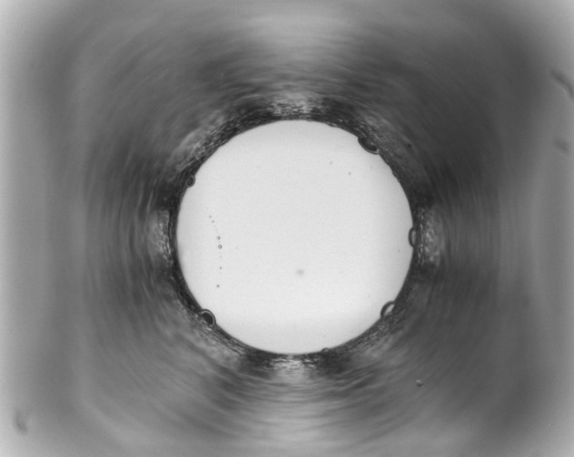 X0000101680616200807311520