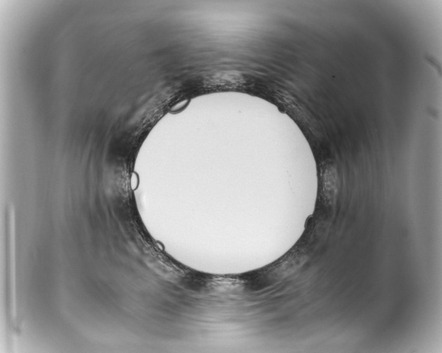 X0000101680617200807311520