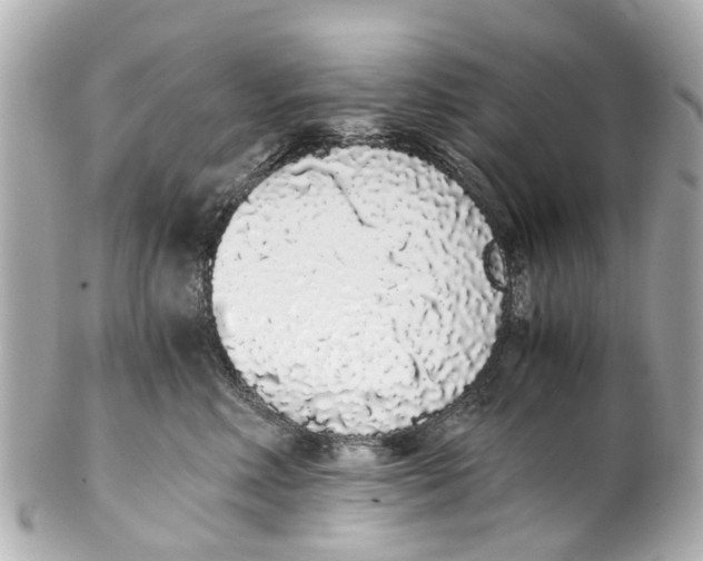 X0000101680618200807311520