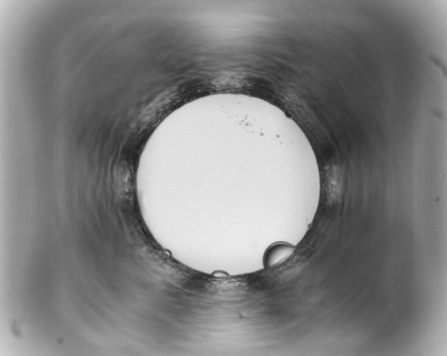 X0000101680619200807311520