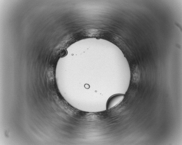 X0000101680620200807311520