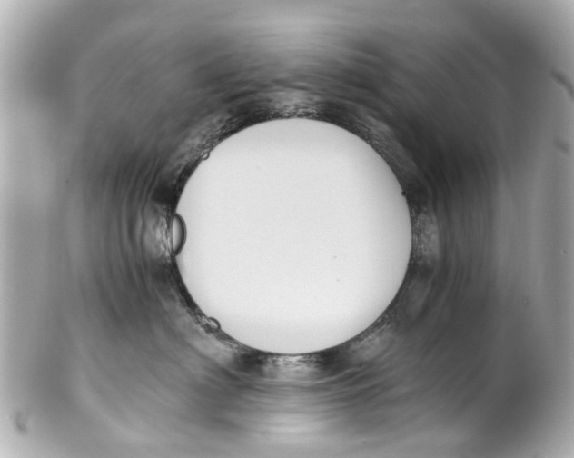 X0000101680622200807311520