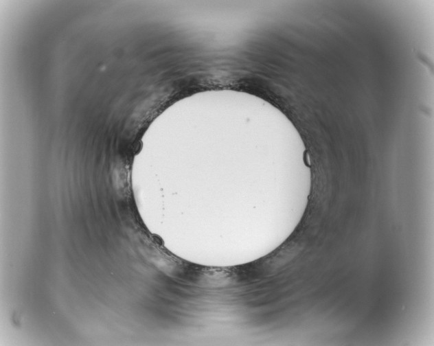 X0000101680624200807311520