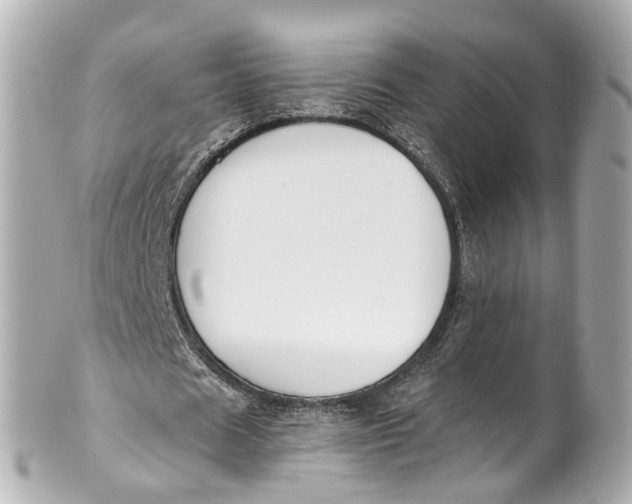 X0000101680625200807311520