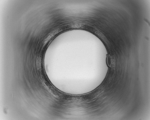 X0000101680626200807311520