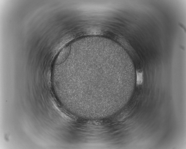 X0000101680627200807311520