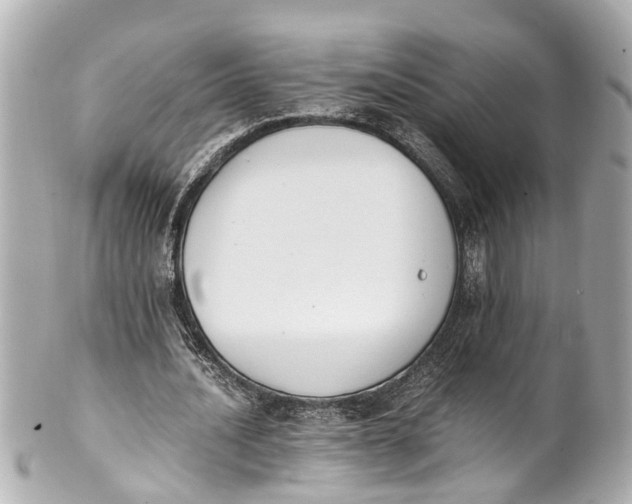 X0000101680628200807311520