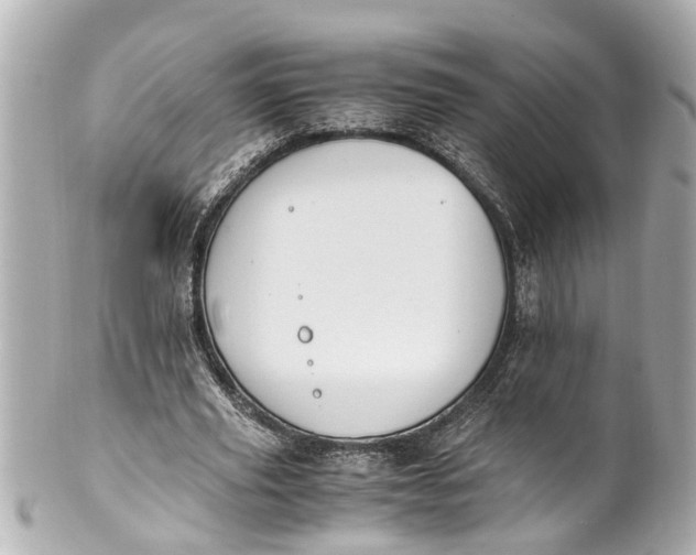 X0000101680629200807311520