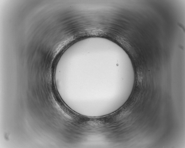 X0000101680630200807311520