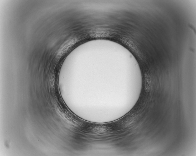 X0000101680631200807311520