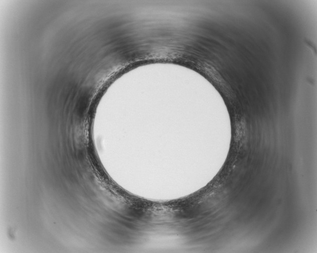 X0000101680632200807311520