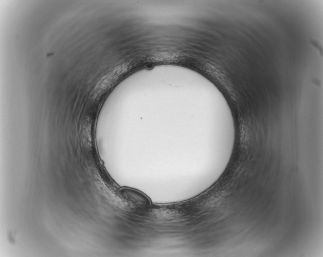 X0000101680633200807311520