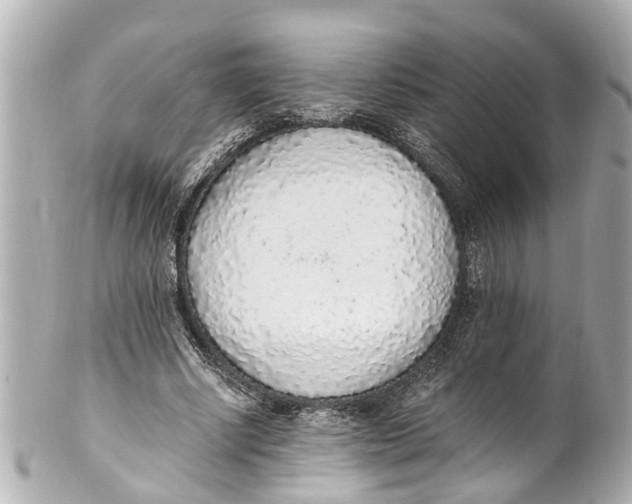 X0000101680634200807311520