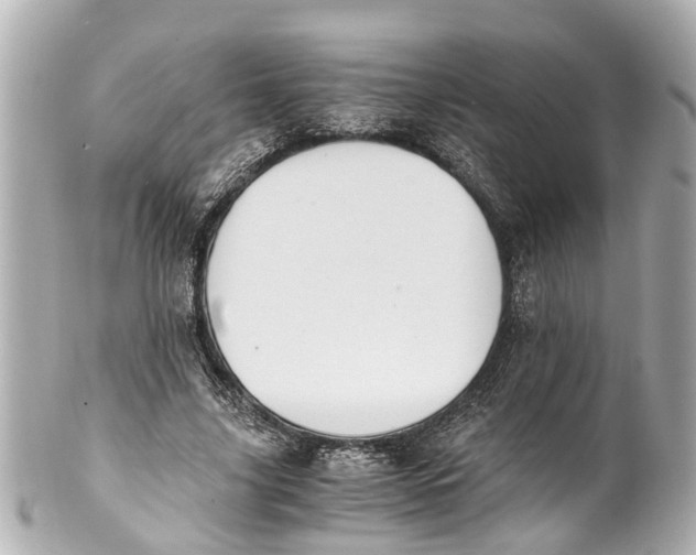 X0000101680635200807311520