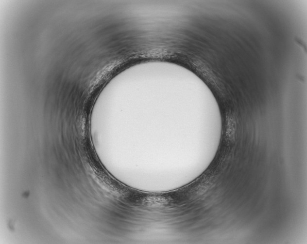 X0000101680636200807311520