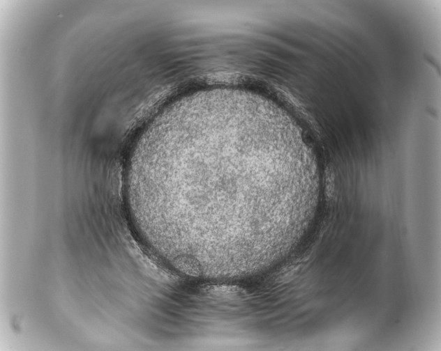 X0000101680637200807311520