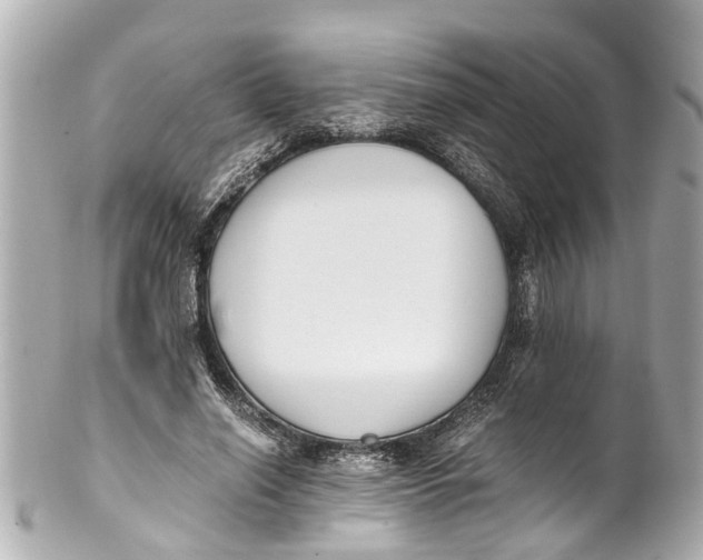 X0000101680638200807311520