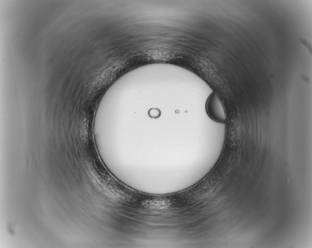 X0000101680639200807311520