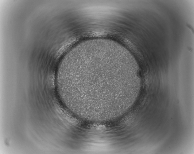 X0000101680640200807311520