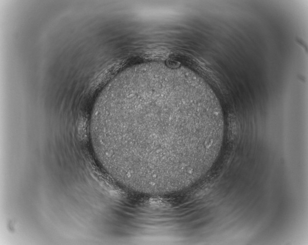 X0000101680641200807311520