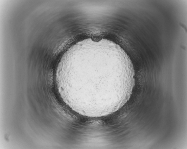 X0000101680642200807311520