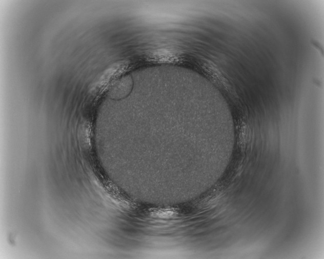 X0000101680643200807311520